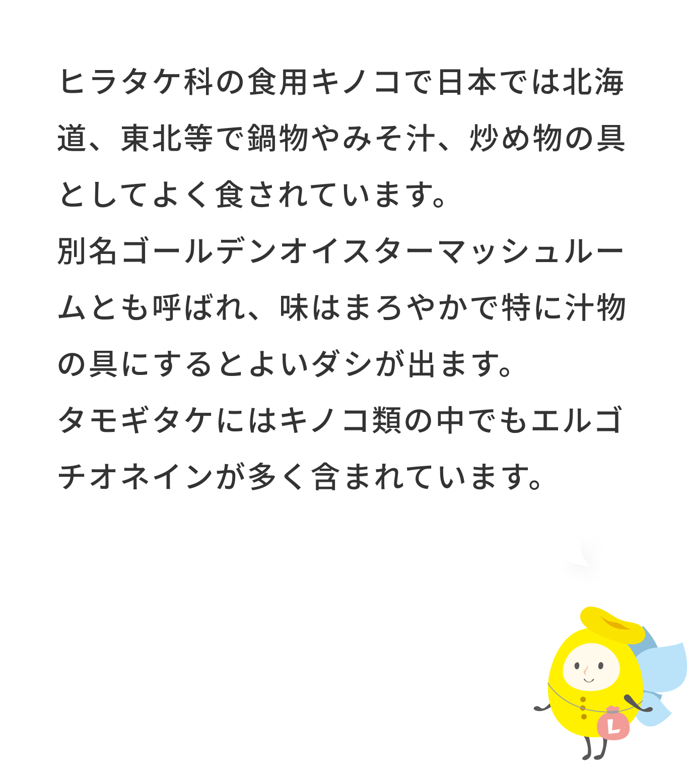 ヒラタケ科の食用キノコで日本では北海道、東北等で鍋物やみそ汁、炒め物の具としてよく食されています。別名ゴールデンオイスターマッシュルームとも呼ばれ、味はまろやかで特に汁物の具にするとよいダシが出ます。タモギタケにはキノコ類の中でもエルゴチオネインが多く含まれています。