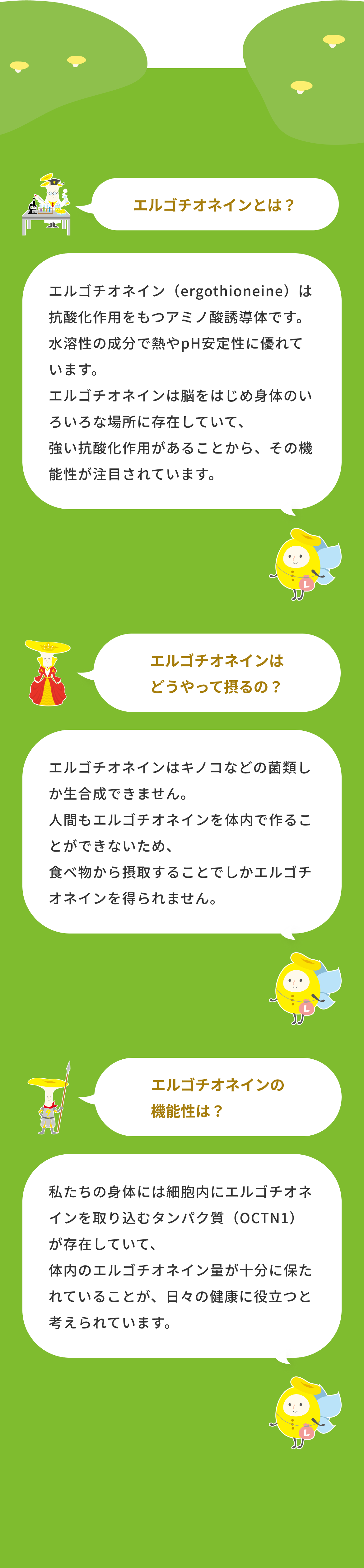 エルゴチオネインとは？ エルゴチオネイン（ergothioneine）は抗酸化作用をもつアミノ酸誘導体です。水溶性の成分で熱やpH安定性に優れています。エルゴチオネインは脳をはじめ身体のいろいろな場所に存在していて、強い抗酸化作用があることから、その機能性が注目されています。 エルゴチオネインはどうやって摂るの？エルゴチオネインはキノコなどの菌類しか生合成できません。人間もエルゴチオネインを体内で作ることができないため、食べ物から摂取することでしかエルゴチオネインを得られません。 エルゴチオネインの機能性は？私たちの身体には細胞内にエルゴチオネインを取り込むタンパク質（OCTN1）が存在していて、体内のエルゴチオネイン量が十分に保たれていることが、日々の健康に役立つと考えられています。