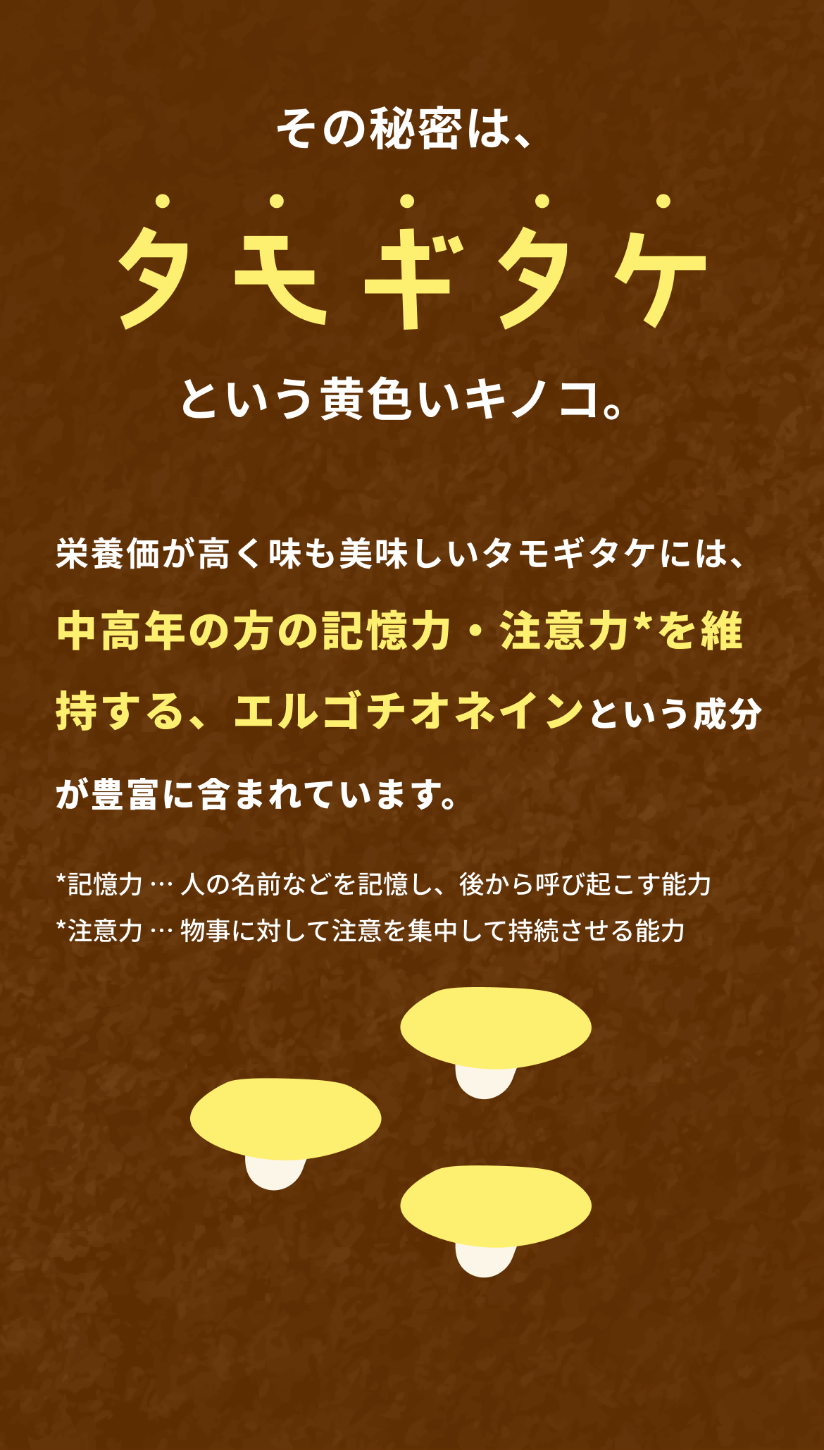 その秘密は、タモギタケという黄色いキノコ。栄養価が高く味も美味しいタモギタケには、中高年の方の記憶力・注意力*を維持する、エルゴチオネインという成分が豊富に含まれています。 *記憶力 … 人の名前などを記憶し、後から呼び起こす能力 *注意力 … 物事に対して注意を集中して持続させる能力